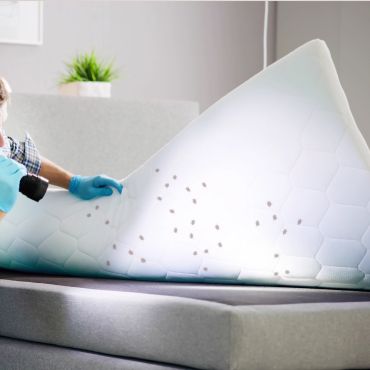 Bed Bug Treatment in Kolkata